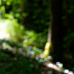 image: Image from the photoset &lsquo;rumelange (ii)&rsquo;.