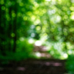 image: Image from the photoset &lsquo;rumelange (ii)&rsquo;.