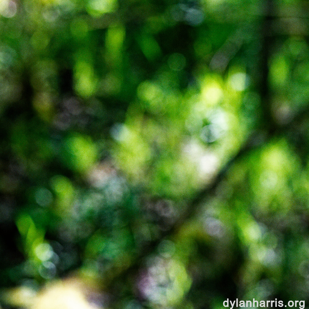 image: This is &lsquo;rumelange 1&rsquo;.