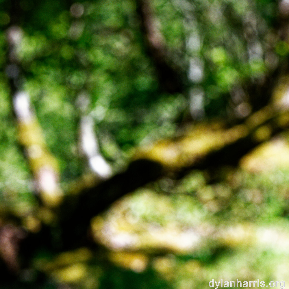 image: This is &lsquo;rumelange 4&rsquo;.