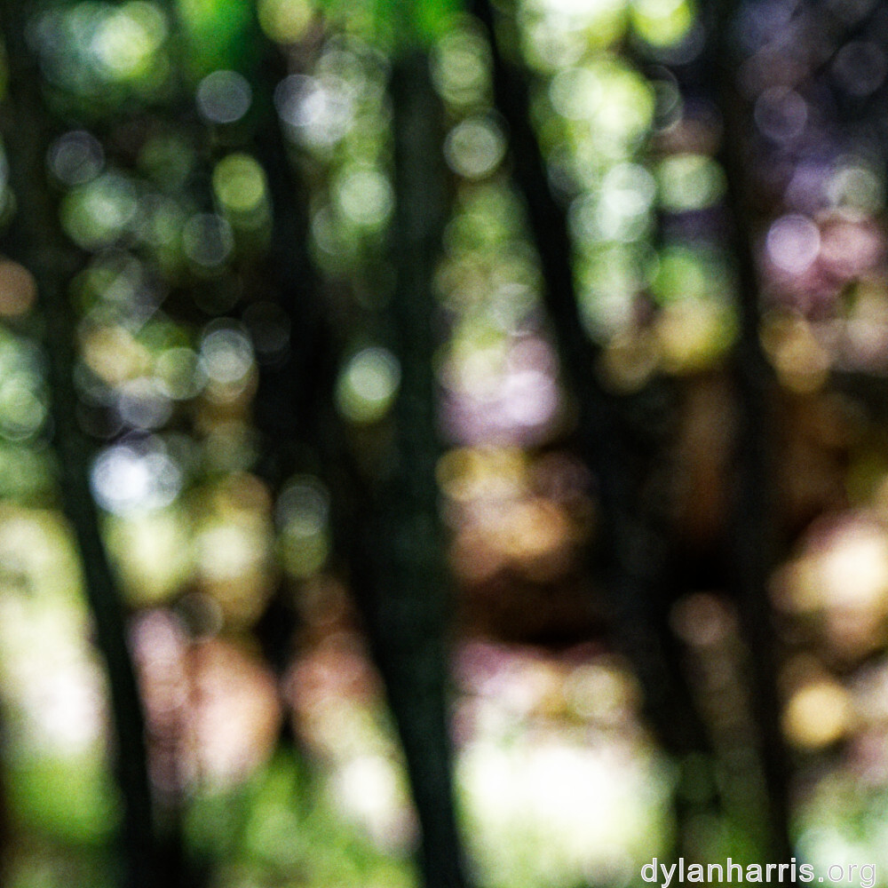 image: This is &lsquo;rumelange 5&rsquo;.