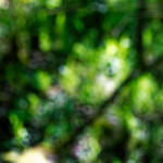 image: Image from the photoset &lsquo;rumelange (iii)&rsquo;.