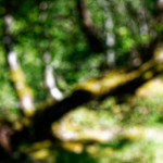 image: Image from the photoset &lsquo;rumelange (iii)&rsquo;.