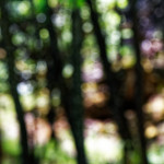 image: Image from the photoset &lsquo;rumelange (iii)&rsquo;.