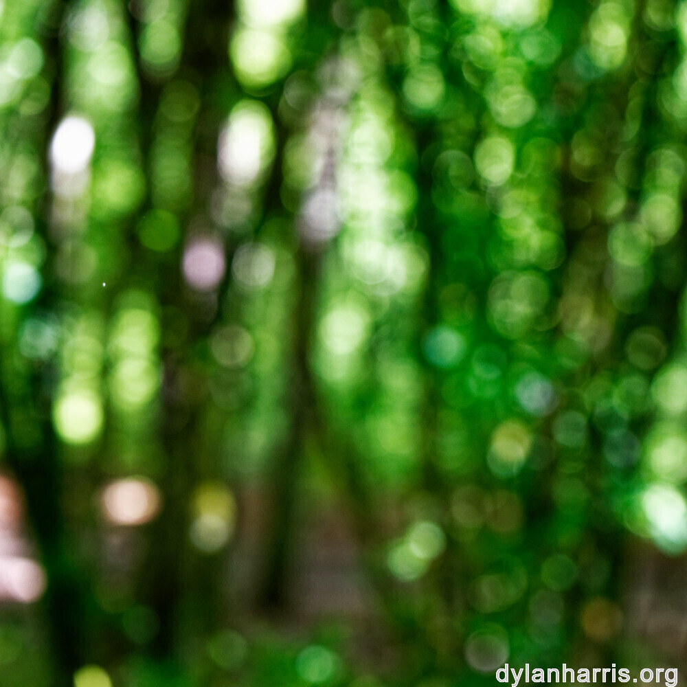 image: This is &lsquo;rumelange 1&rsquo;.