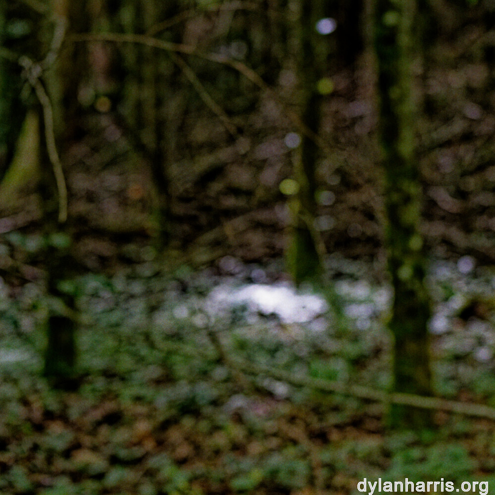 image: This is &lsquo;rumelange 2&rsquo;.