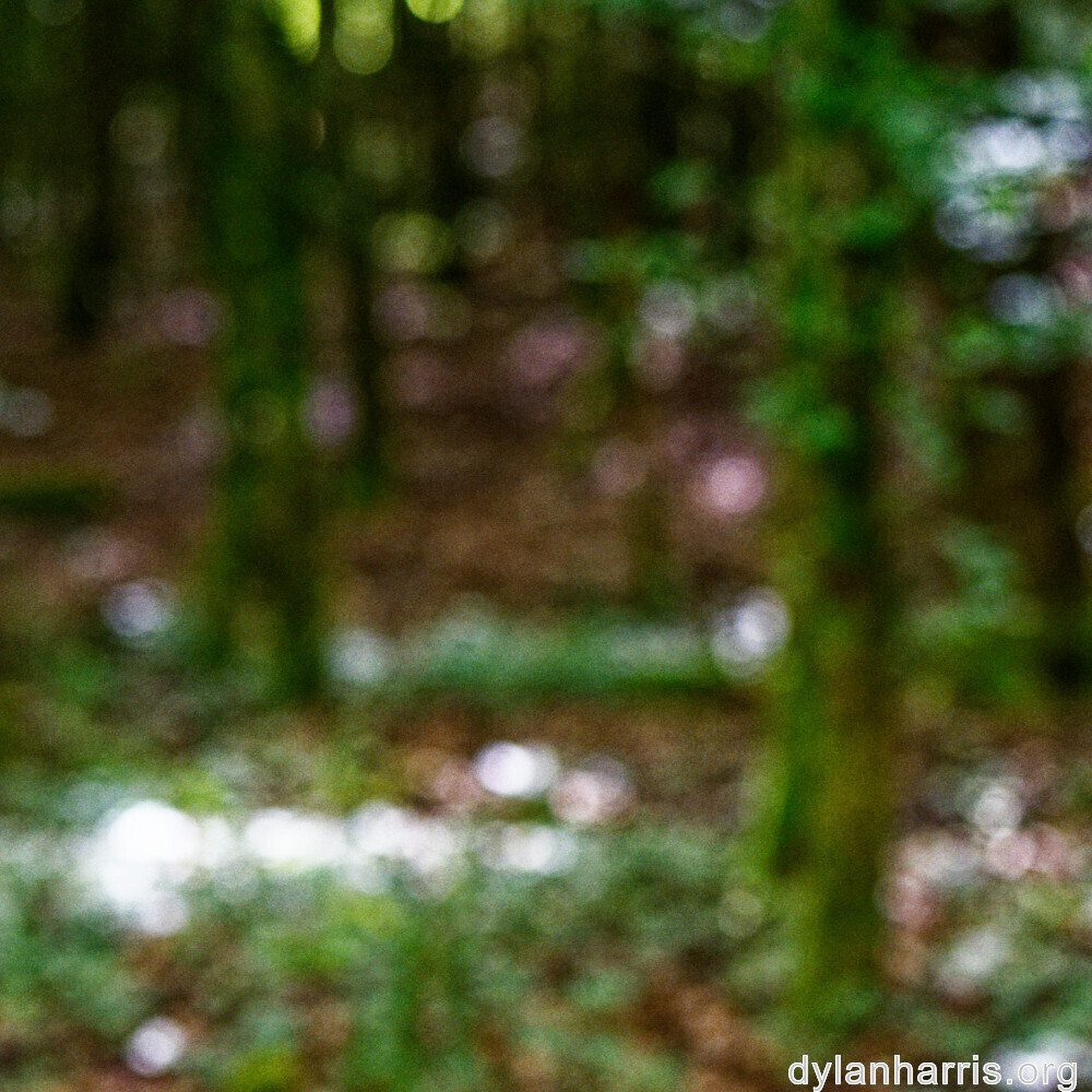 image: This is &lsquo;rumelange 3&rsquo;.