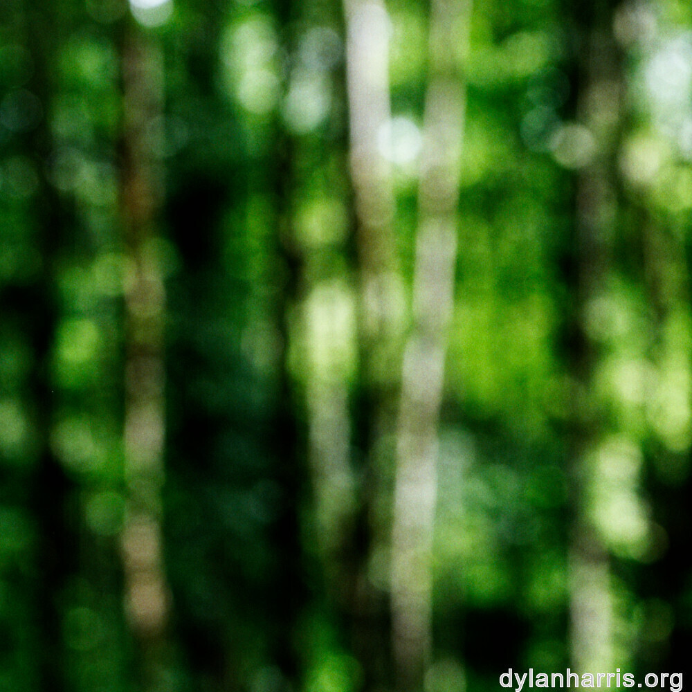 image: This is &lsquo;rumelange 4&rsquo;.