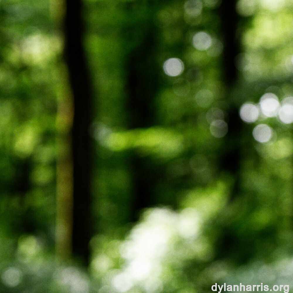 image: This is &lsquo;rumelange 5&rsquo;.