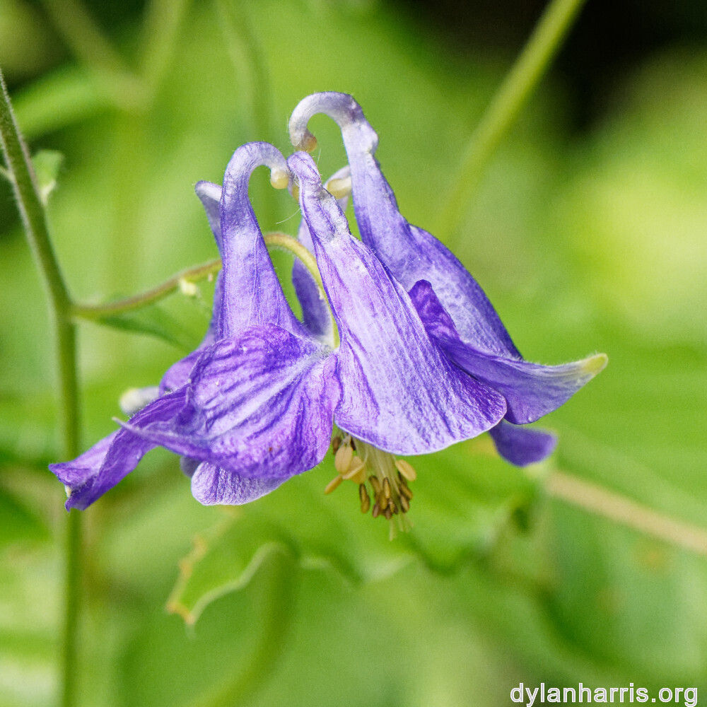 image: This is &lsquo;rumelange 6&rsquo;.