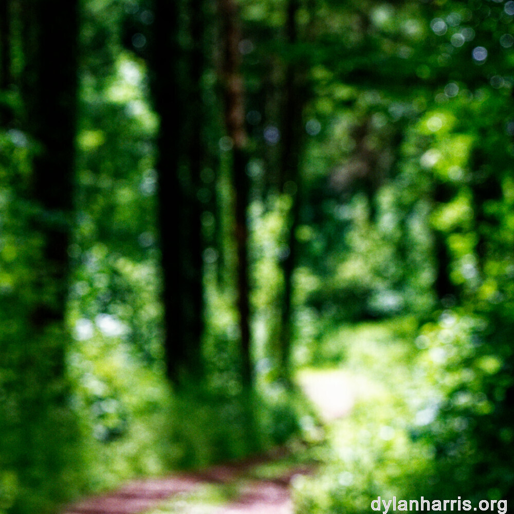 image: This is &lsquo;rumelange 8&rsquo;.