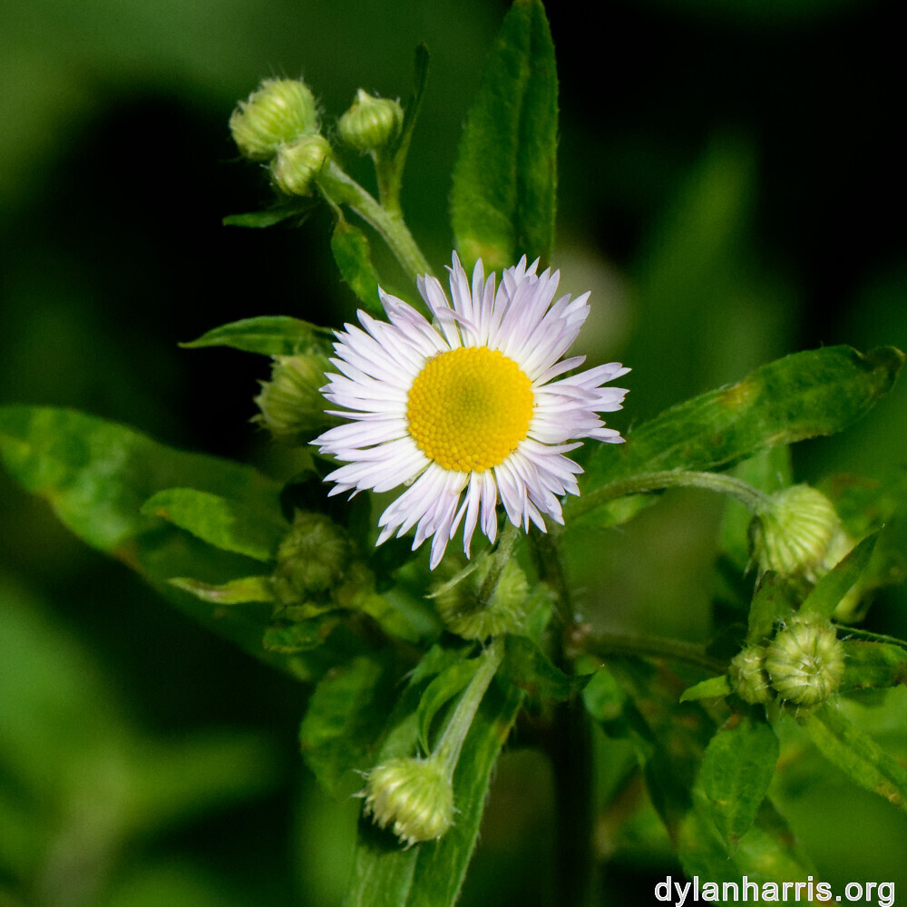 image: This is &lsquo;rumelange 9&rsquo;.