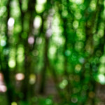 image: Image from the photoset &lsquo;rumelange (iv)&rsquo;.