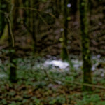 image: Image from the photoset &lsquo;rumelange (iv)&rsquo;.