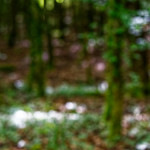 image: Image from the photoset &lsquo;rumelange (iv)&rsquo;.