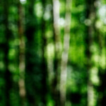 image: Image from the photoset &lsquo;rumelange (iv)&rsquo;.