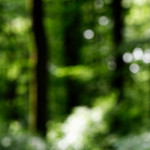 image: Image from the photoset &lsquo;rumelange (iv)&rsquo;.