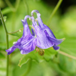 image: Image from the photoset &lsquo;rumelange (iv)&rsquo;.