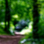 image: Image from the photoset &lsquo;rumelange (iv)&rsquo;.