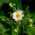 image: Image from the photoset &lsquo;rumelange (iv)&rsquo;.