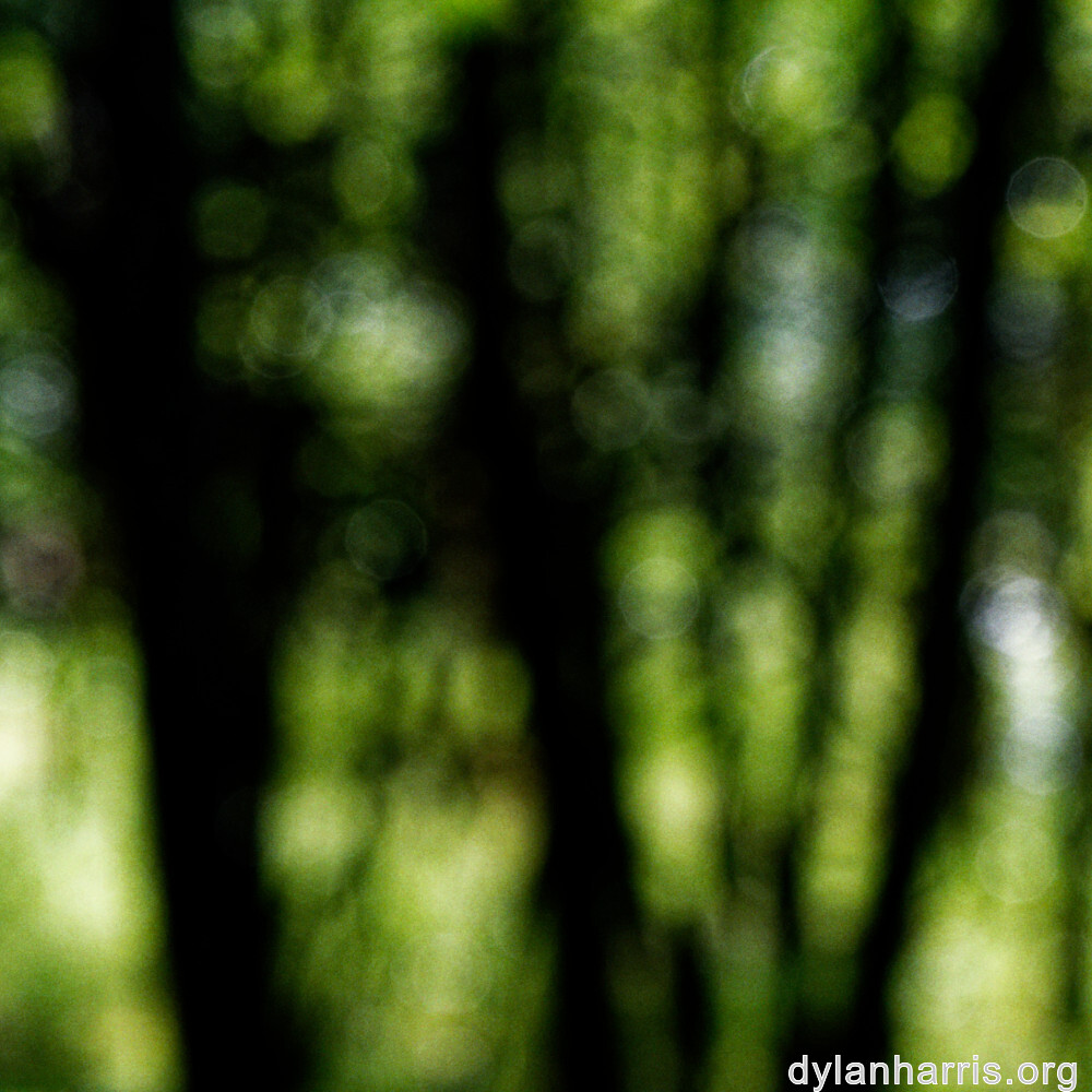 image: This is &lsquo;rumelange 2&rsquo;.