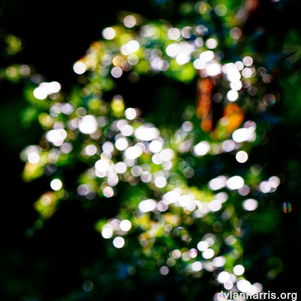 image: This is &lsquo;rumelange 3&rsquo;.