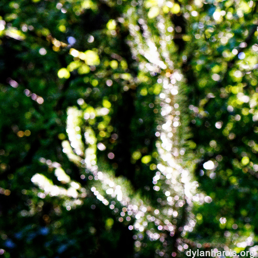 image: This is &lsquo;rumelange 4&rsquo;.