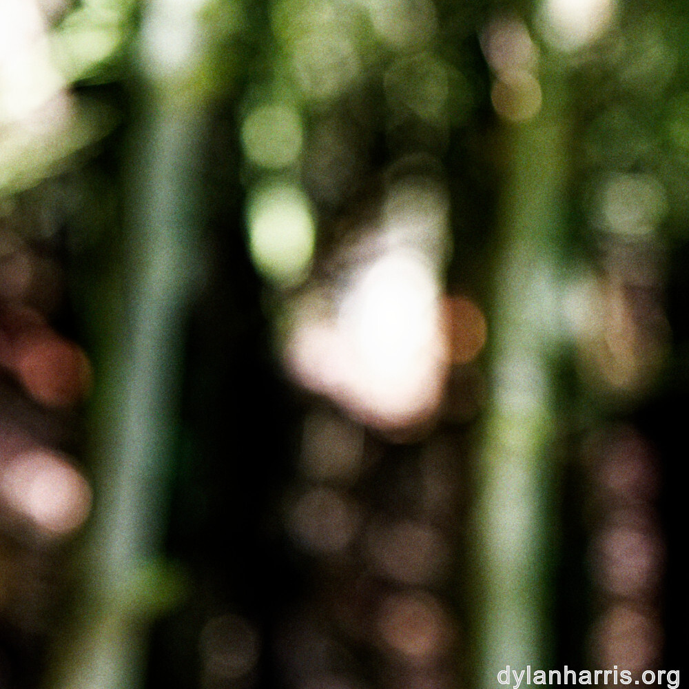 image: This is &lsquo;rumelange 5&rsquo;.