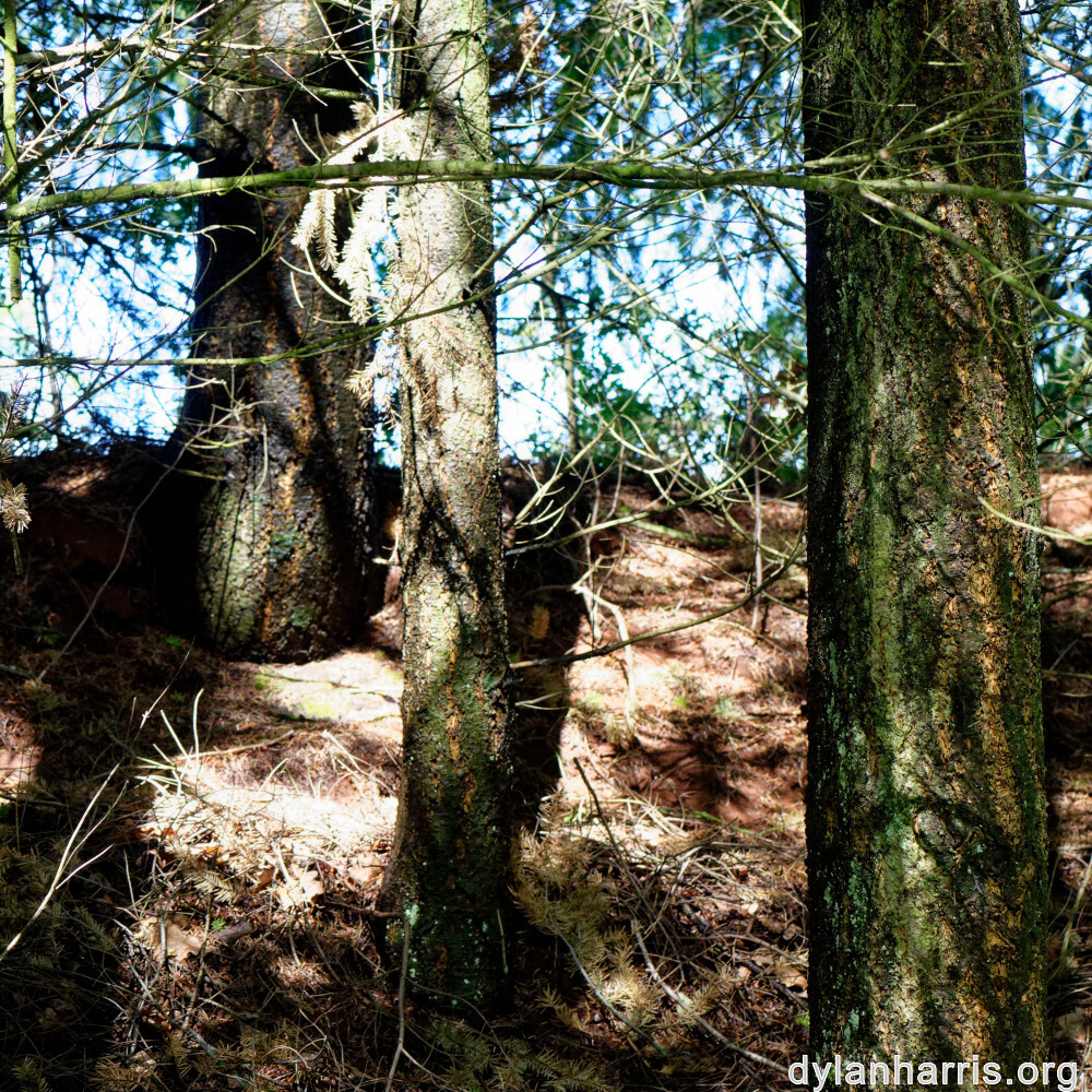 image: This is &lsquo;rumelange 6&rsquo;.