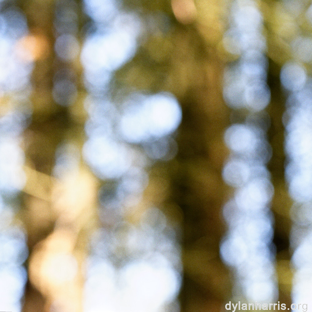 image: This is &lsquo;rumelange 7&rsquo;.