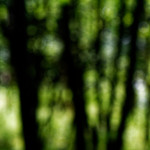 image: Image from the photoset &lsquo;rumelange (v)&rsquo;.