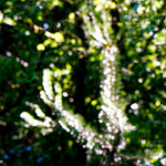 image: Image from the photoset &lsquo;rumelange (v)&rsquo;.