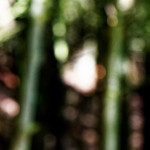 image: Image from the photoset &lsquo;rumelange (v)&rsquo;.