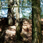 image: Image from the photoset &lsquo;rumelange (v)&rsquo;.