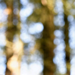 image: Image from the photoset &lsquo;rumelange (v)&rsquo;.