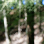 image: Image from the photoset &lsquo;rumelange (v)&rsquo;.