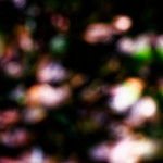 image: Image from the photoset &lsquo;rumelange (v)&rsquo;.