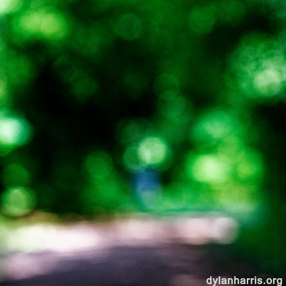 image: This is &lsquo;wood (xlviii) 2&rsquo;.