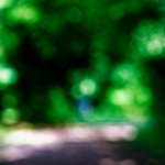 image: Image from the photoset &lsquo;wood (xlviii)&rsquo;.