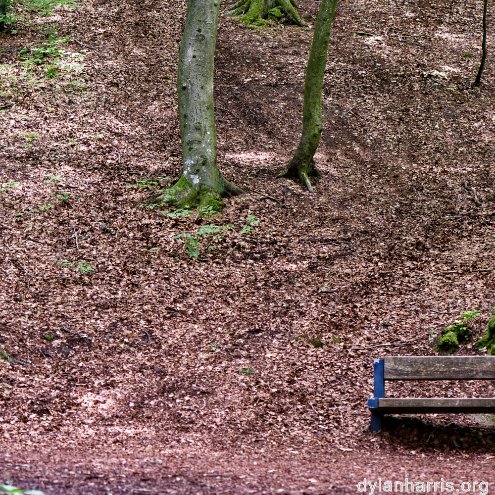 image: This is &lsquo;rumelange 1&rsquo;.