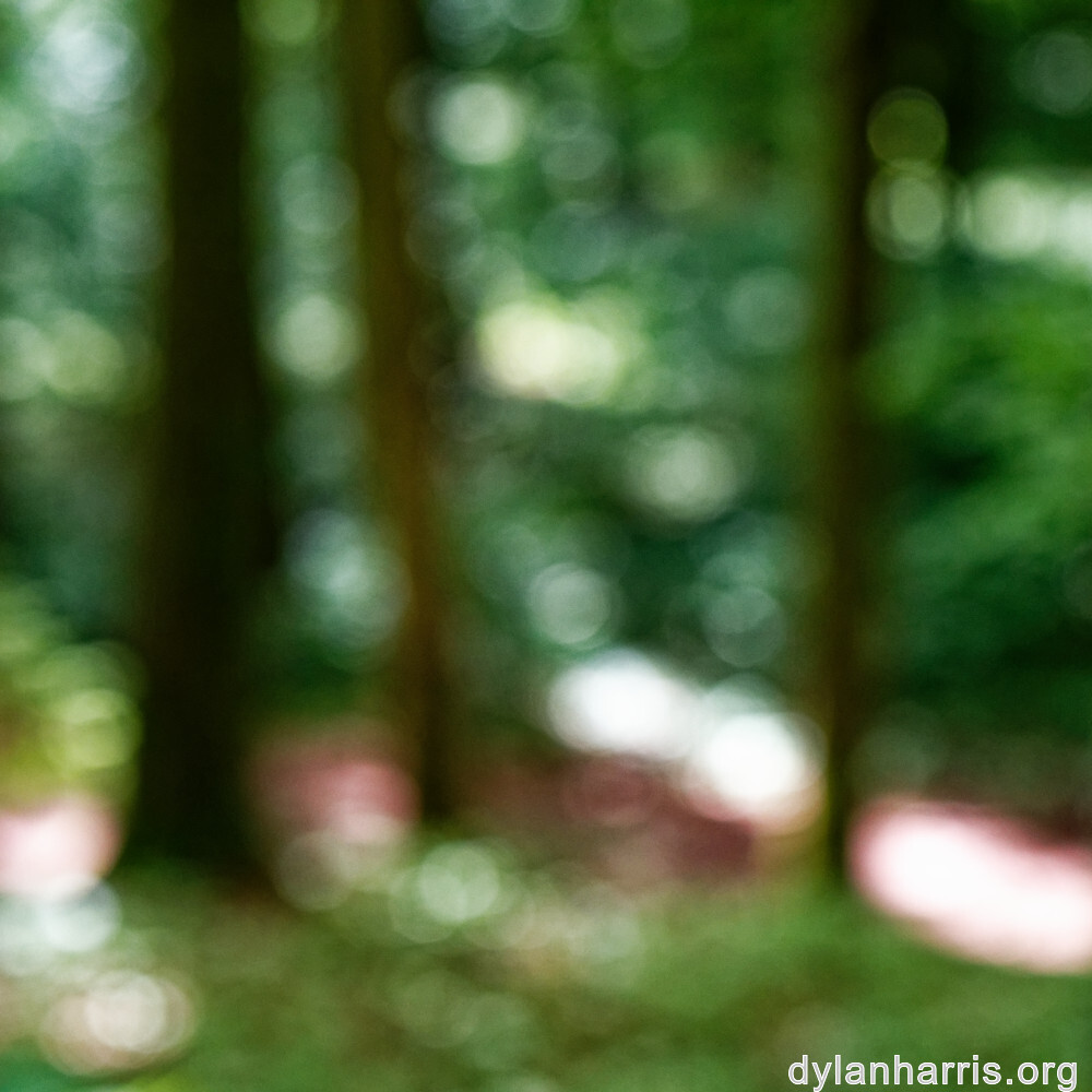 image: This is &lsquo;rumelange 2&rsquo;.