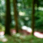 image: Image from the photoset &lsquo;rumelange (vi)&rsquo;.