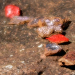 image: Image from the photoset &lsquo;rumelange (vi)&rsquo;.