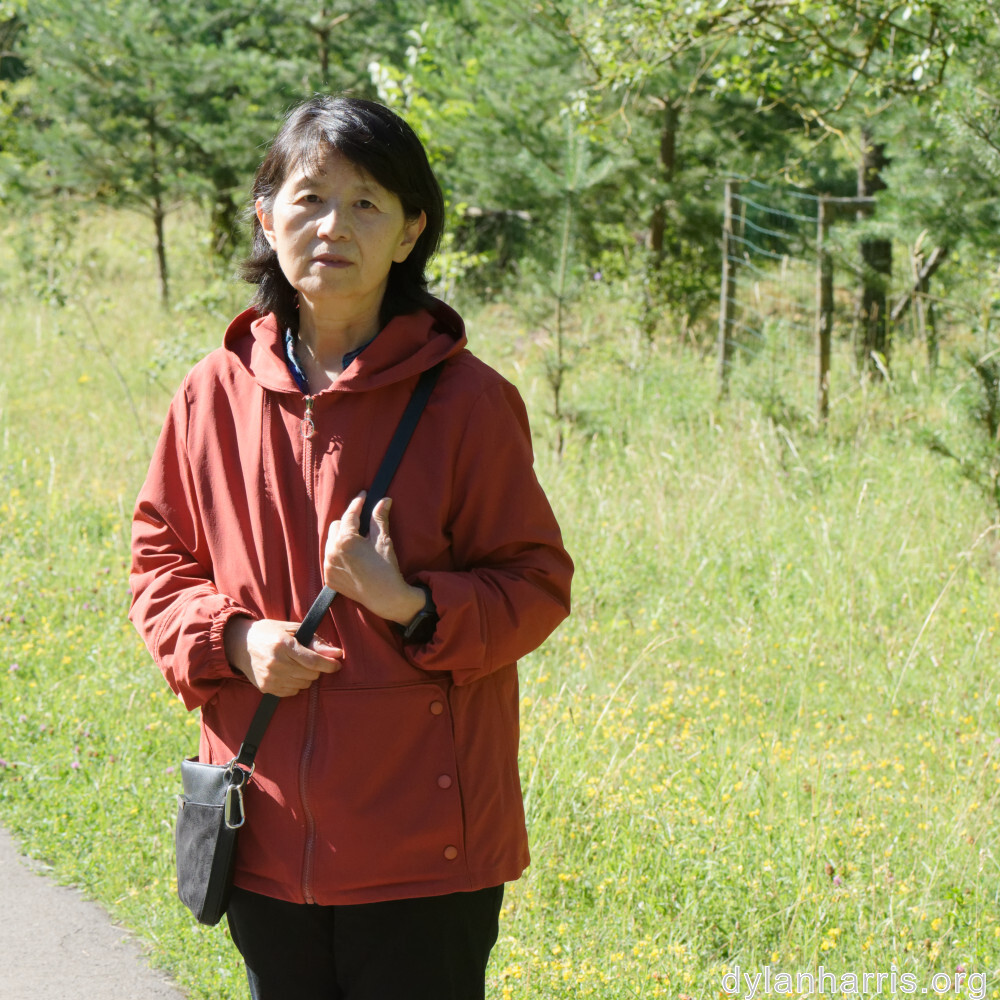 image: This is &lsquo;L (xxxv) 1&rsquo;.