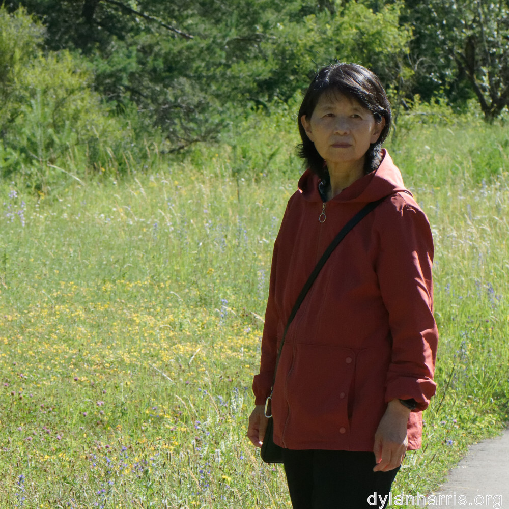 image: This is &lsquo;L (xxxv) 4&rsquo;.