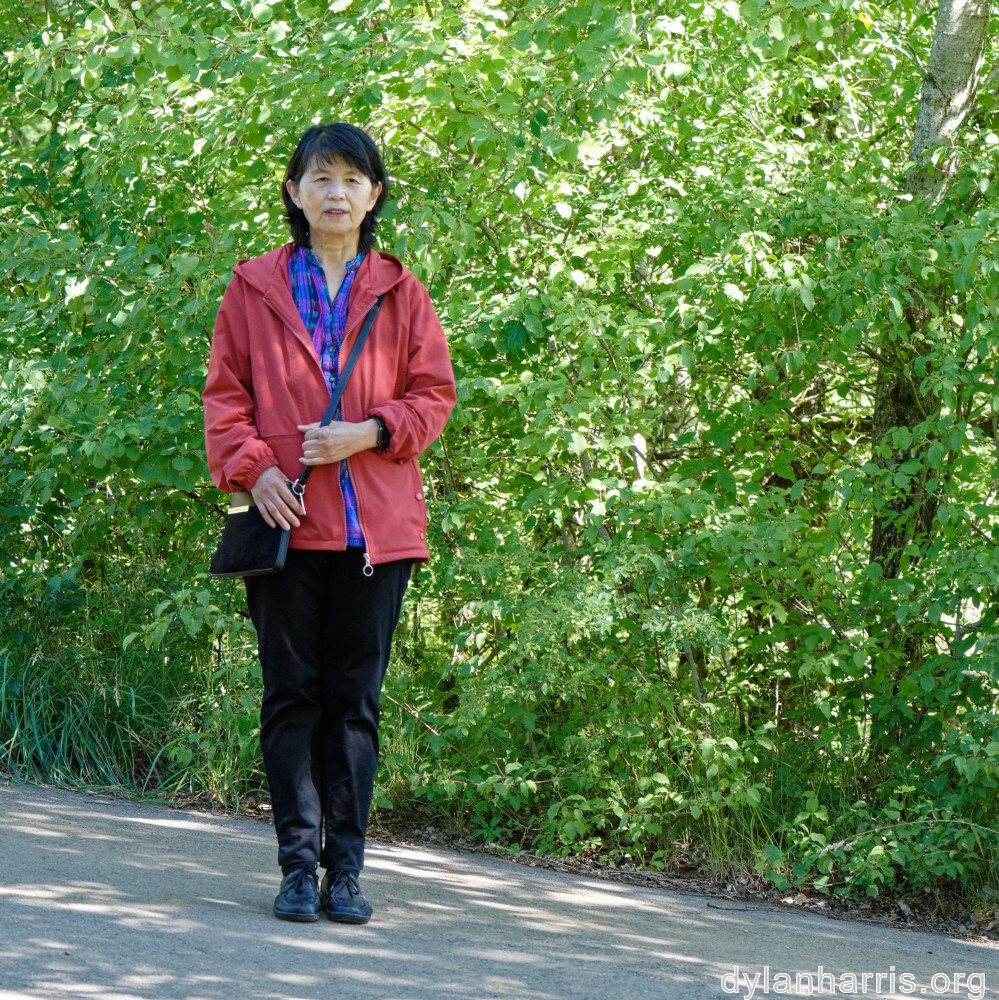 image: This is &lsquo;L (xxxv) 5&rsquo;.