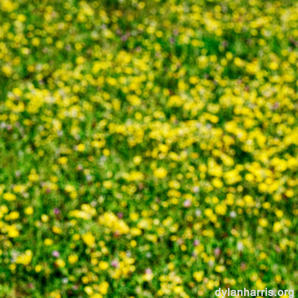 image: This is &lsquo;rumelange 1&rsquo;.