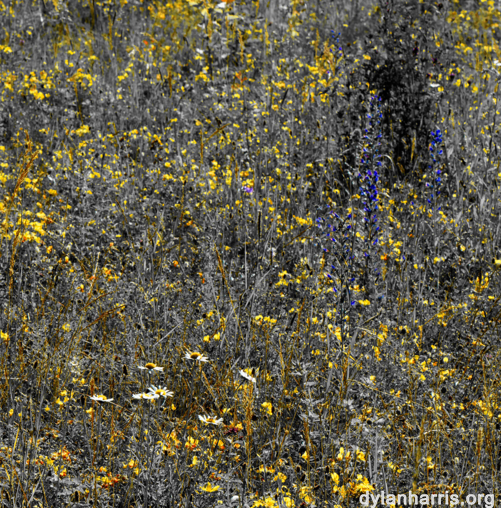 image: This is &lsquo;rumelange 2&rsquo;.