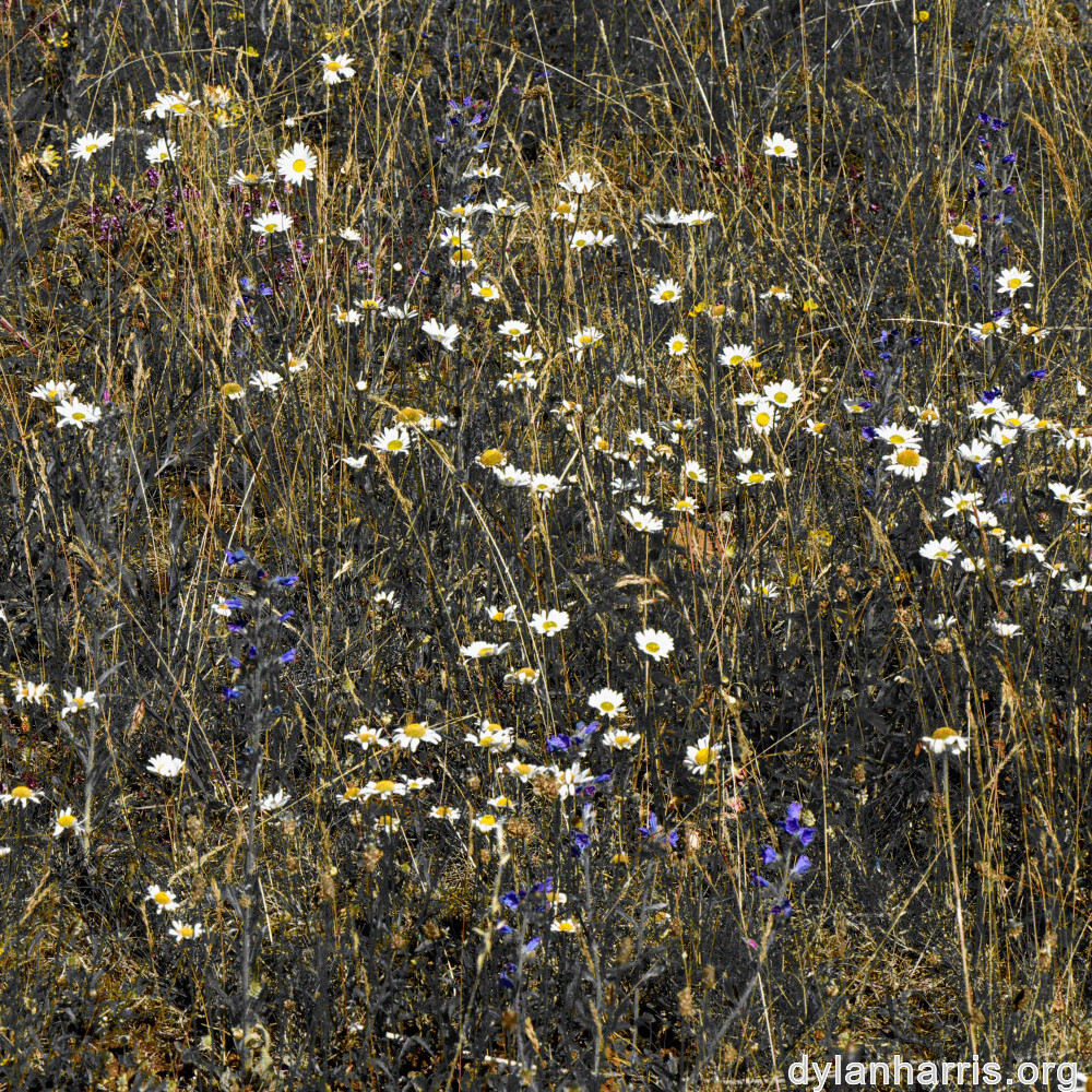 image: This is &lsquo;rumelange 4&rsquo;.