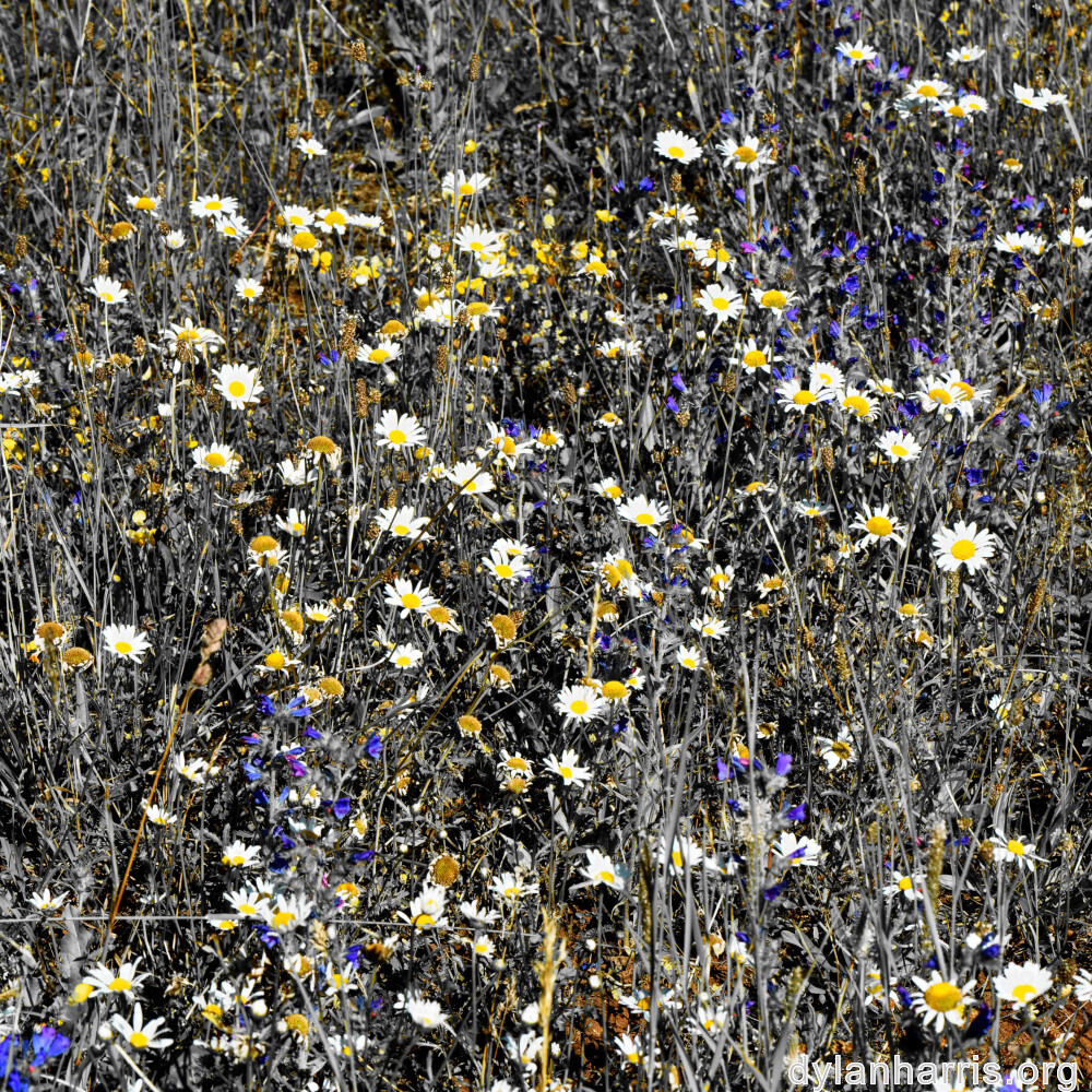 image: This is &lsquo;rumelange 5&rsquo;.